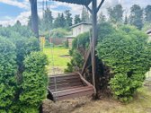 Parduodama jauki ir rami vasaros sodyba vos - nuotraukos Nr. 10