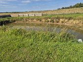 Parduodamas Nuostabus Sklypas Švenčionių - nuotraukos Nr. 3