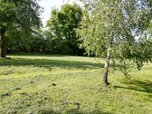 Parduodamas Nuostabus Sklypas Švenčionių - nuotraukos Nr. 5