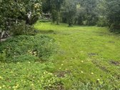 Parduodamas dviejų kambarių butas be patogumų. - nuotraukos Nr. 4