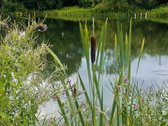 Išskirtinis 3 kambarių butas su vaizdu į - nuotraukos Nr. 30