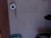 Parduodu sodą Kalnėnų sodų bendrijoje 6arai. - nuotraukos Nr. 5