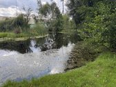 Išskirtinis, nestandartinis sklypas namo - nuotraukos Nr. 8