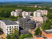 Kitas gyvenimo etapas, tai kita pusė tavo - nuotraukos Nr. 11