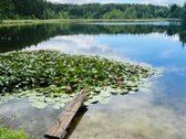 Parduodamas 6 a žemės sklypas, esantis vos 14 - nuotraukos Nr. 11