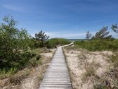 „Ošupio pušynas“ - nuotraukos Nr. 33