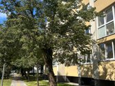 Parduodamas stilingai įrengtas 3 kambarių - nuotraukos Nr. 12