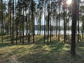 Parduodamas žemės sklypas su 56 metrais ežero - nuotraukos Nr. 6
