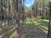 Parduodamas žemės sklypas su 56 metrais ežero - nuotraukos Nr. 7