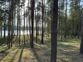 Parduodamas žemės sklypas su 56 metrais ežero - nuotraukos Nr. 9