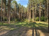 Parduodamas žemės sklypas su 56 metrais ežero - nuotraukos Nr. 10