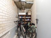 Palanga-miestas, kuriame norisi ne tik - nuotraukos Nr. 47