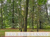  žirmūnuose pard. tvarkingas 2kb su balkonu į - nuotraukos Nr. 11