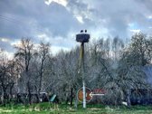 Parduodamas namų valdos žemės sklypas Grikių - nuotraukos Nr. 8