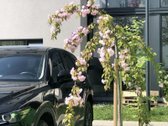 Butas Išnuomojamas Nuo Lapkričio 1 Dienos - nuotraukos Nr. 15