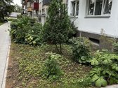 Išnuomojamas jaukus 2 kambarių butas geroje - nuotraukos Nr. 14