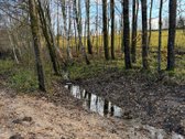 Parduodama privati sodyba su 4,5 ha žemės - nuotraukos Nr. 20