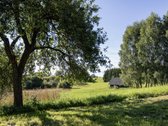 Parduodama privati sodyba su 4,5 ha žemės - nuotraukos Nr. 11