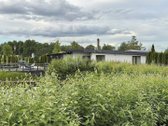 Išskirtinė sodyba ieškantiems privatumo ir - nuotraukos Nr. 21