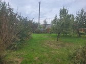 Parduodamas dvigubas sodas su sodo namu - nuotraukos Nr. 4