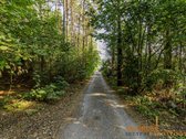 Verta Žinoti - nuotraukos Nr. 16