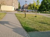 Taikos pr., šalia Pempininkų, parduodamas 3 - nuotraukos Nr. 3