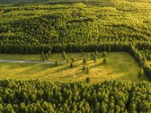 Parduodamas vienbučių ir dvibučių gyvenamųjų - nuotraukos Nr. 5