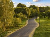 Parduodamas vienbučių ir dvibučių gyvenamųjų - nuotraukos Nr. 13