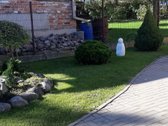 Išnuomojamas puikus, jaukus,tvarkingas, - nuotraukos Nr. 26