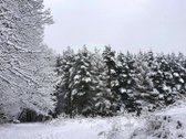 Nuomojamas pilnai įrengtas 3 kambarių butas - nuotraukos Nr. 12