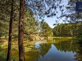 Vos 10 Min Nuo Panevėžio Miesto, Už Vaivadų - nuotraukos Nr. 30