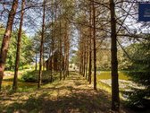 Vos 10 Min Nuo Panevėžio Miesto, Už Vaivadų - nuotraukos Nr. 31