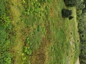 Parduodamas 1,80 ha žemės ūkio paskirties - nuotraukos Nr. 3