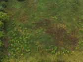 Parduodamas 1,80 ha žemės ūkio paskirties - nuotraukos Nr. 5