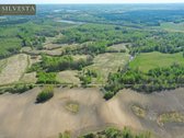 Parduodamas 66,47 arų namų valdos sklypas - nuotraukos Nr. 11