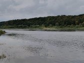 Sodyba ramioje vietoje netoli Nemuno (apie - nuotraukos Nr. 9