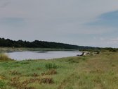 Sodyba ramioje vietoje netoli Nemuno (apie - nuotraukos Nr. 12