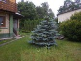 Parduodamas sodo namas su aptvertu medine - nuotraukos Nr. 19