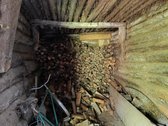 Sodyba Švenčionių Rajone– 65 A Namų Valdos - nuotraukos Nr. 10
