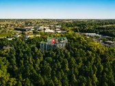 Gyvenimas mieste, apsuptas pušyno ramybės - nuotraukos Nr. 10