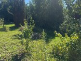 Parduodamas Sodo Sklypas Vosyliukų K., Trakų - nuotraukos Nr. 8