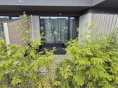 Jauki 20 m² studija Kunigiškėse – „Mano jūra - nuotraukos Nr. 13