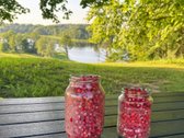 Unikalioje vietoje, unt Sartų ežero kranto, - nuotraukos Nr. 16