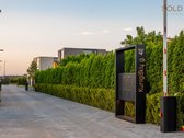 Kaina 885 000 € (įsk. PVM). - nuotraukos Nr. 11