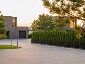 Kaina 885 000 € (įsk. PVM). - nuotraukos Nr. 6