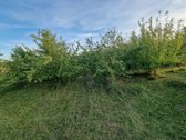 Sklypas yra besiformuojančiame gyvenamųjų - nuotraukos Nr. 4