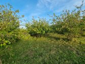 Sklypas yra besiformuojančiame gyvenamųjų - nuotraukos Nr. 5