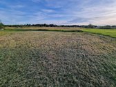Sklypas yra besiformuojančiame gyvenamųjų - nuotraukos Nr. 9