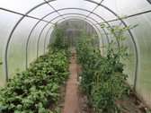 Parduodama Sodyba Šapnagių Kaime(akmenės Raj) - nuotraukos Nr. 17