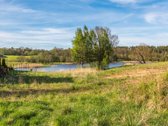  – Nt ekspertai be procentų - nuotraukos Nr. 9